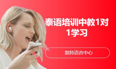 泰语培训中教1对1学习